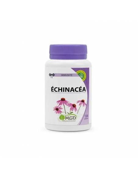 echinacea-mgd