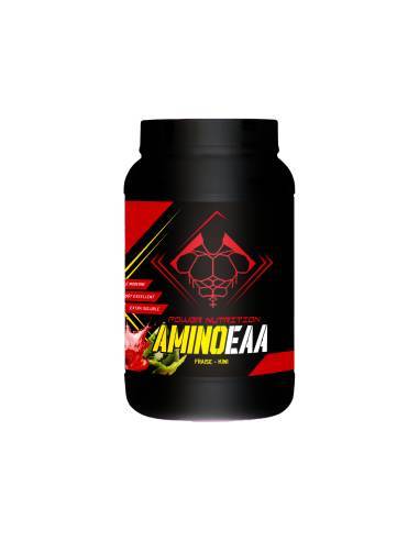 Amino-EAA-POWER-NUTRITION-FRAISE-KIWI