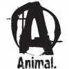 ANIMAL by Universal Nutrition