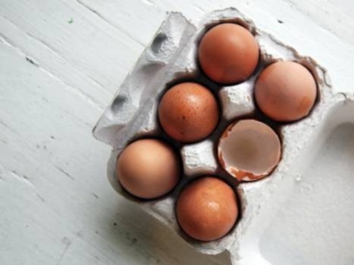 Les oeufs : cheat code des protéines - comment les consommer ?